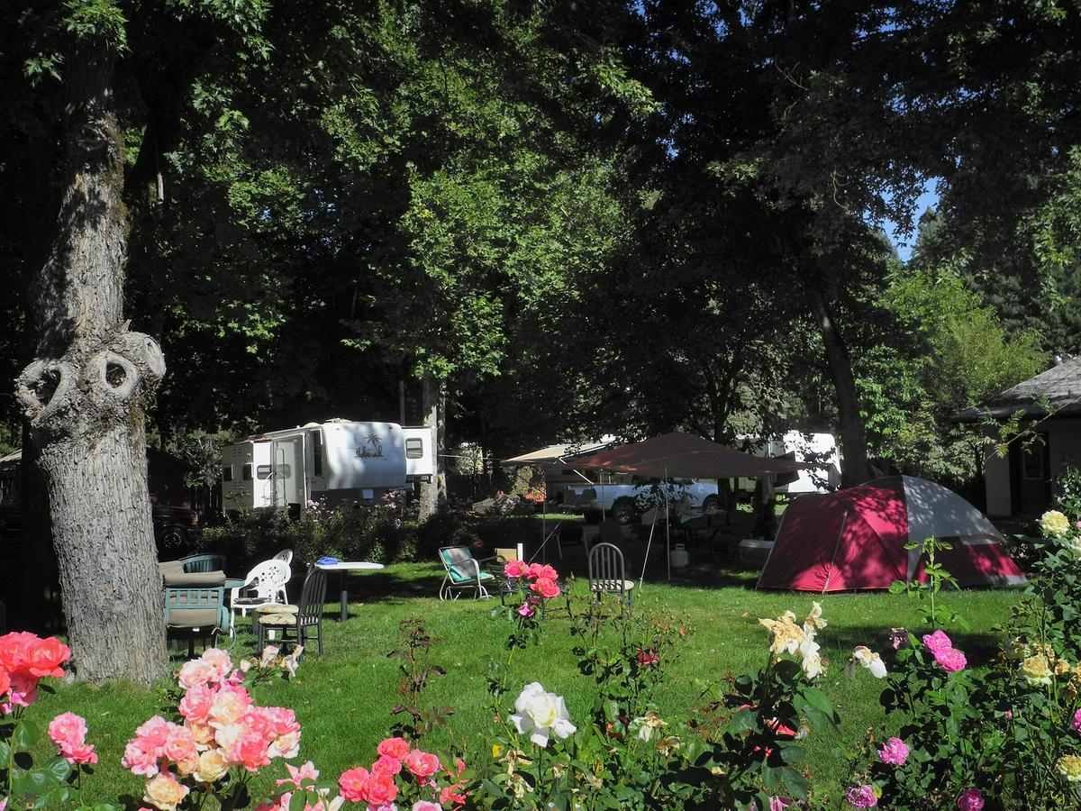 Bigfoot Rv & Cabins Park 해피캠프 외부 사진